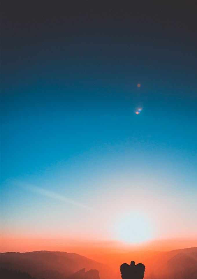 Photo by Rakicevic Nenad from Pexels
